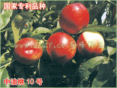 ����10��