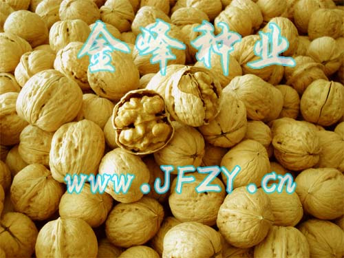 ���㱡�Ǻ���